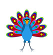 Peacock.