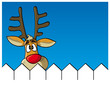 Reindeer behind fence
