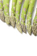 Border of fresh  asparagus