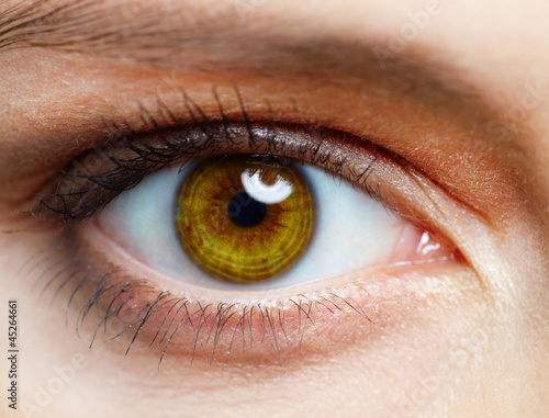 Photo: Human eye Human eye