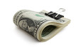 Pile of money  on white