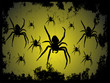 Black spider