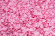 Petali di rosa