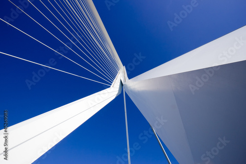 Photo: Erasmus bridge in Rotterdam Erasmus bridge in Rotterdam