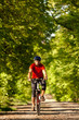 Biker on the forest road
