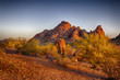 Papago Park