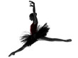 Photo: young woman ballerina ballet dancer dancing young woman ballerina ballet dancer dancing