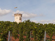 Turm im Weinberg