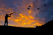 Foto: Bird Hunting Silhouette Bird Hunting Silhouette