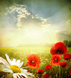 Foto: landscape landscape