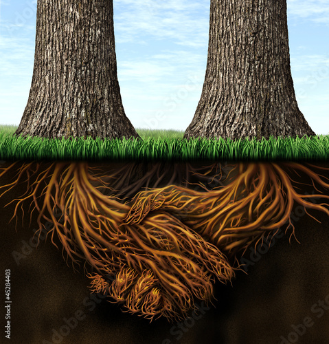 Illustration: Strong Foundation Strong Foundation