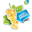Icon currant with arrow by organic food. Vector illustration