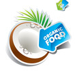 Icon coconut with arrow by organic food. Vector illustration