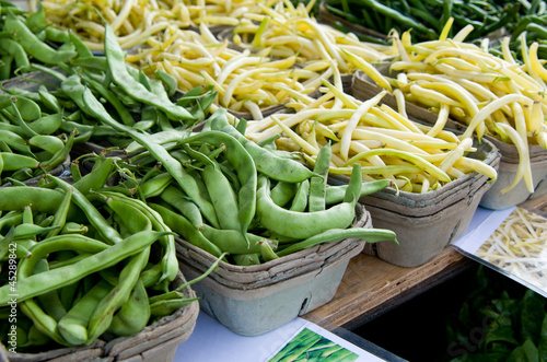Photo: Multiple Green Pea Pods and Yellow Wax Beans in Baskets Multiple Green Pea Pods and Yellow Wax Beans in Baskets