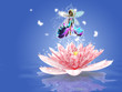 Water Lily fairy
