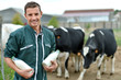 Photo: Farmer standing in front of cow herd with bottles of milk Farmer standing in front of cow herd with bottles of milk