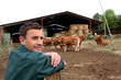 Herdsman standing in front of cattle in farm