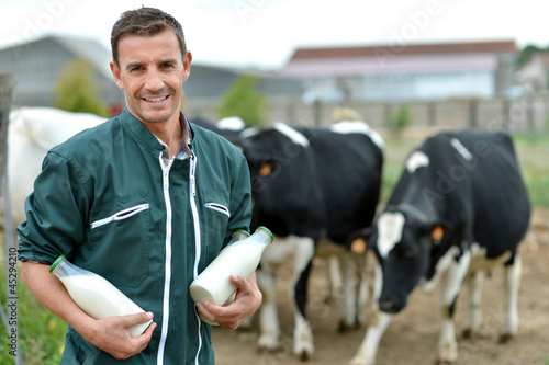 Photo: Farmer standing in front of cow herd with bottles of milk Farmer standing in front of cow herd with bottles of milk