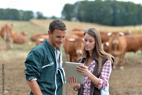 Photo: Farmer and woman in cow field using tablet Farmer and woman in cow field using tablet