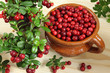 Cowberries