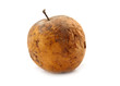 rotten apple isolated