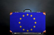 The European Union Flag