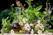 Gesunde Küche und Homöopathie mit Kräutern