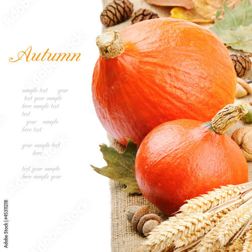 Photo: Autumn still-life with pumpkins Autumn still-life with pumpkins