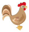 Cute brown cock, illustration
