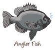 Anglerfish, Color Illustration