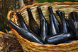 Basket with Bottles
