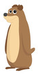 Cute brown bear, illustration