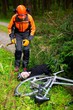 Gefahrenbereich - Baumfällarbeiten