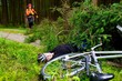 Gefahrenbereich - Baumfällarbeiten
