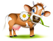 Vetor: Little Jersey cow eating daisy Little Jersey cow eating daisy