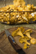 Pfifferlinge