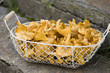Pfifferlinge
