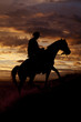 Cowboy riding horse up hill