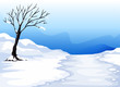 Landcape With Ice