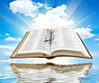 Bible with blue sky and white clouds