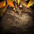 Autumn forest background