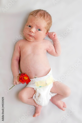 Photo: newborn baby holding orange flower of garden to Mother's Day newborn baby holding orange flower of garden to Mother's Day