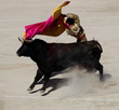 solo de Jose Tomas, NImes 2012