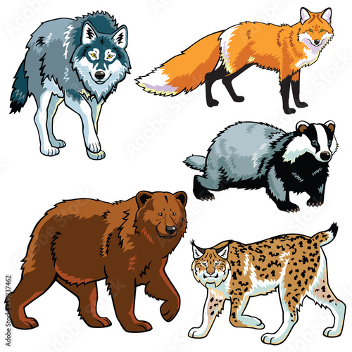 Vector: set of predators set of predators