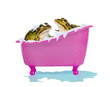 Photo: Bubble bath for pet frogs Bubble bath for pet frogs