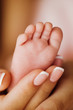 newborn baby foot on female hands