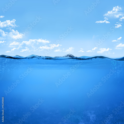 Photo: underwater scene underwater scene