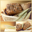Bread and wheat. Collage.