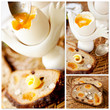 Healthy breakfast: boiled egg and  bread.Collage.