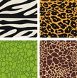 Set of 4 animal skin patterns